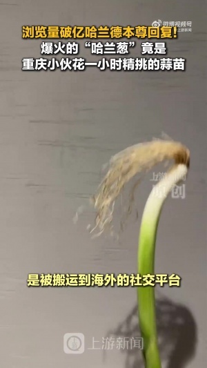 cos哈兰德的是蒜苗不是葱！重庆小伙才是原作者 视频被偷浏览破亿赛事报道